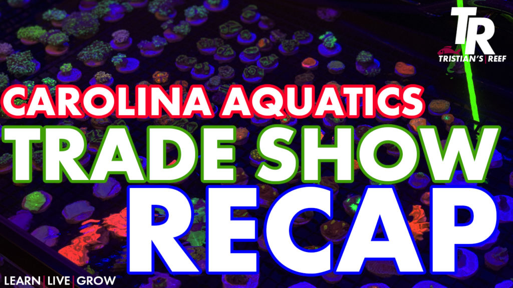 TRSC Aquatics