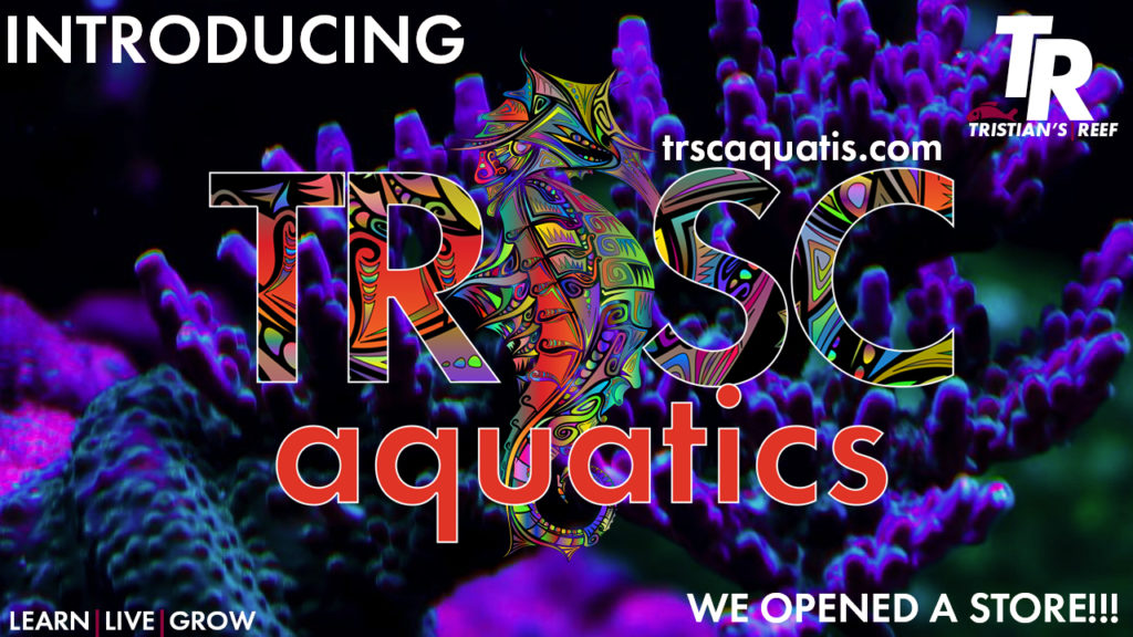 TRSC Aquatics