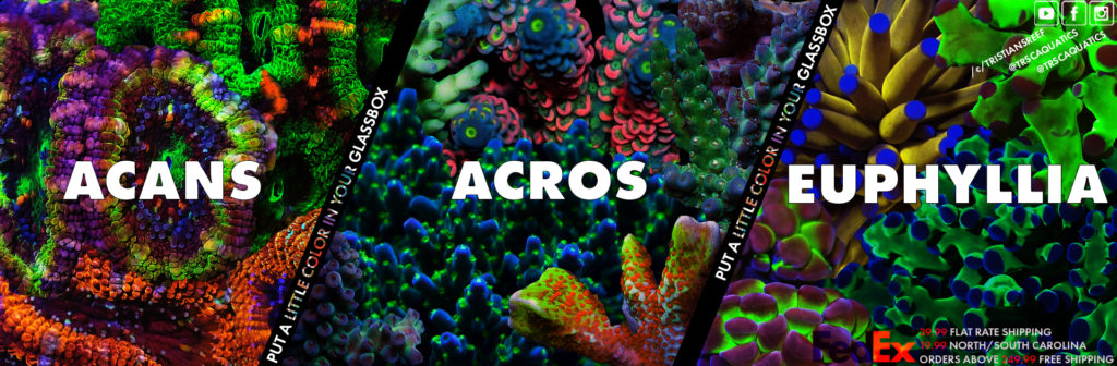 TRSC Aquatics