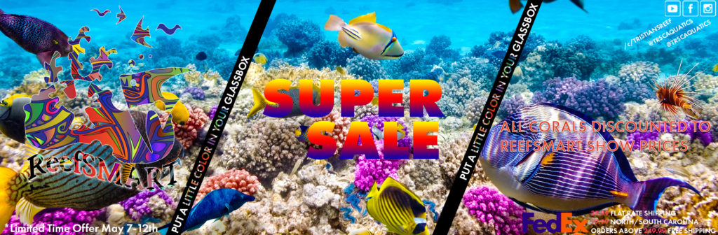 TRSC Aquatics