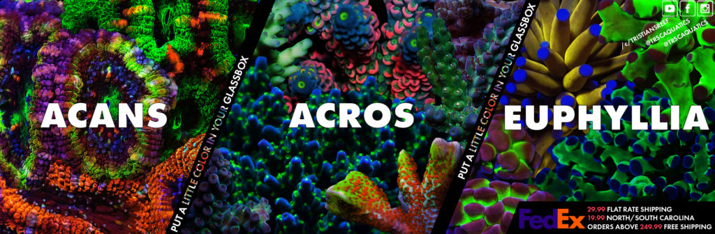 TRSC Aquatics