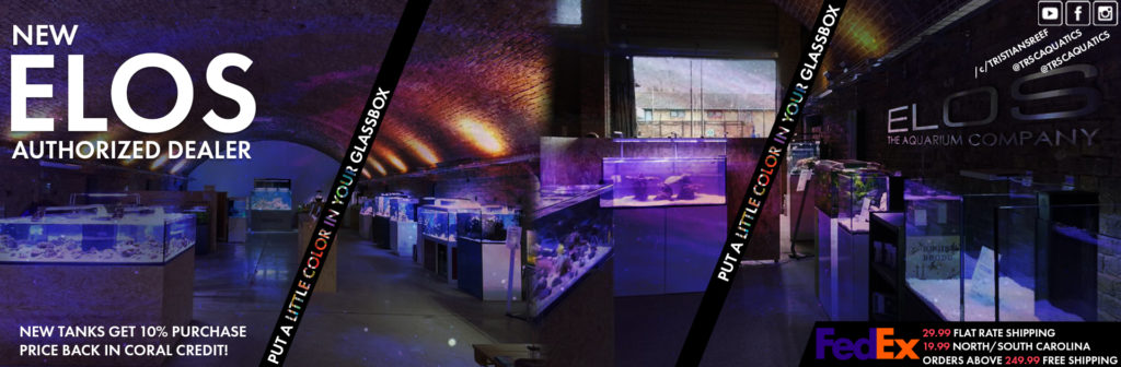 TRSC Aquatics