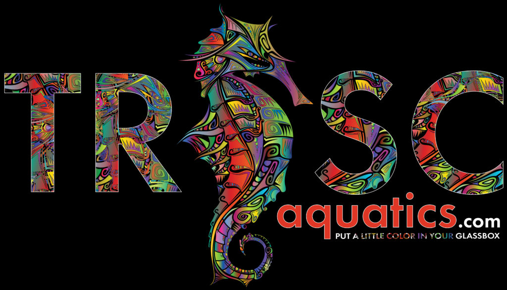 TRSC Aquatics