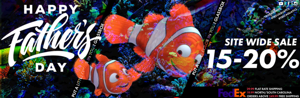 TRSC Aquatics