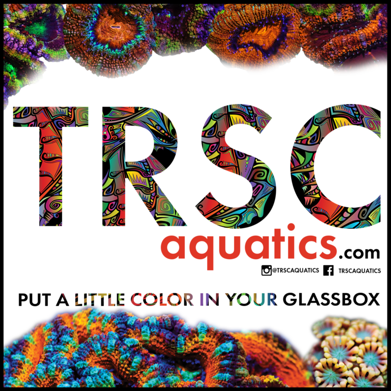 TRSC Aquatics