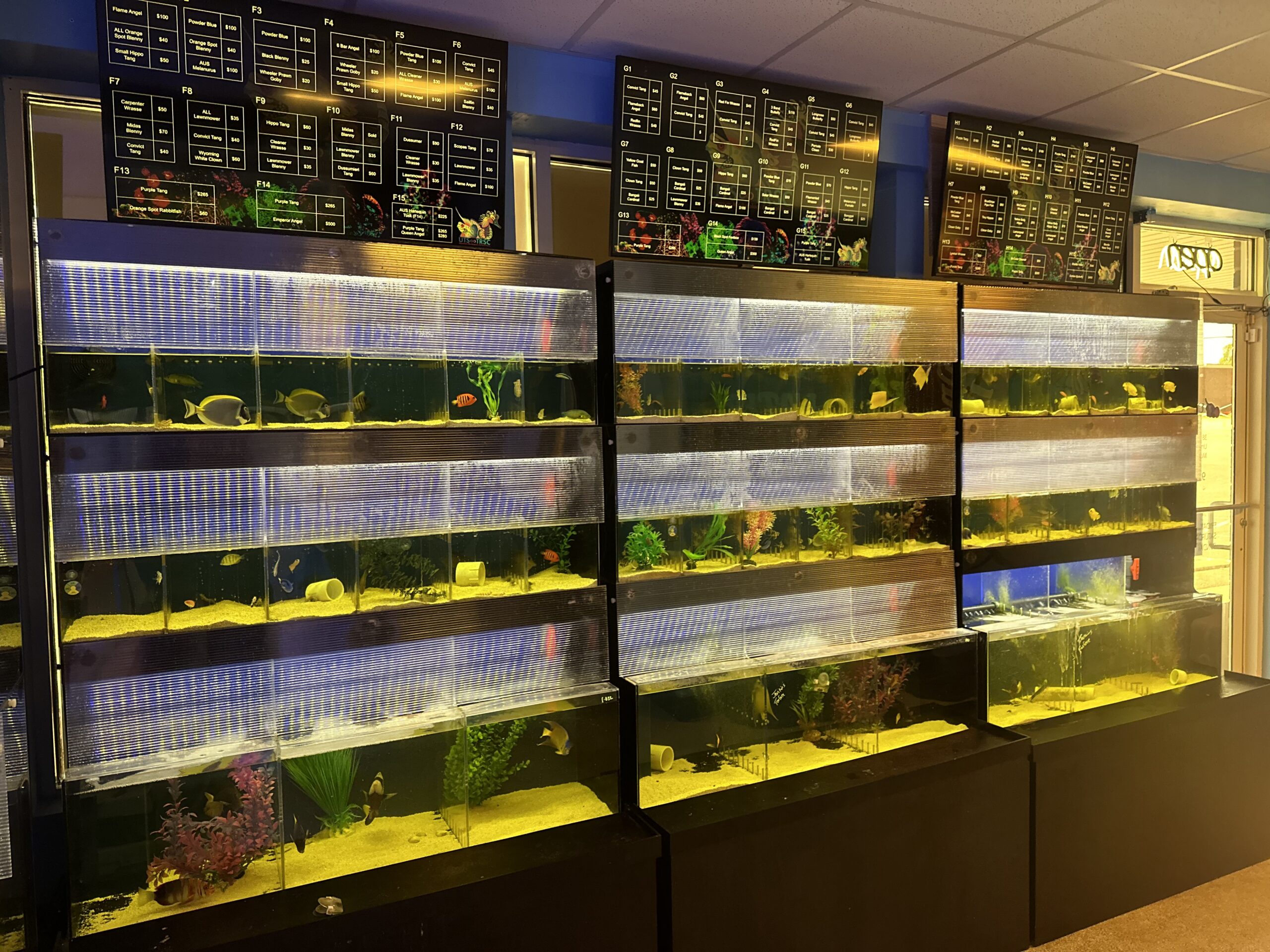 Contact 2 IMG 2822 scaled