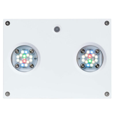 AI Hydra 32 HD LED Module - White Body