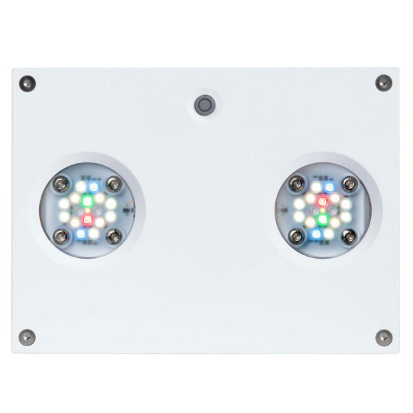 AI Hydra 32 HD LED Module - White Body
