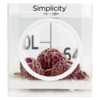Simplicity 4L Coral Dipping Container