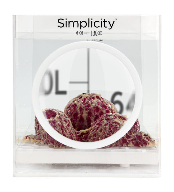 Simplicity 4L Coral Dipping Container