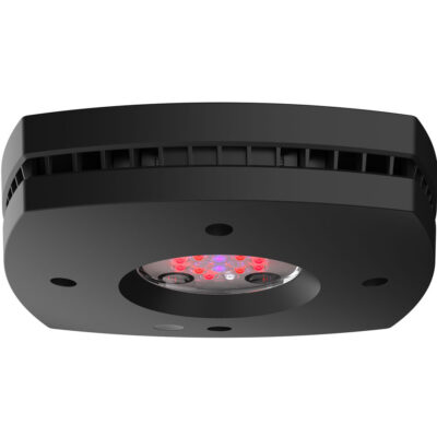 Alternative view of AI Hydra Prime 16 HD Fuge LED Module - Black Body