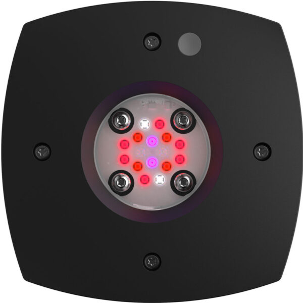 AI Hydra Prime 16 HD Fuge LED Module - Black Body