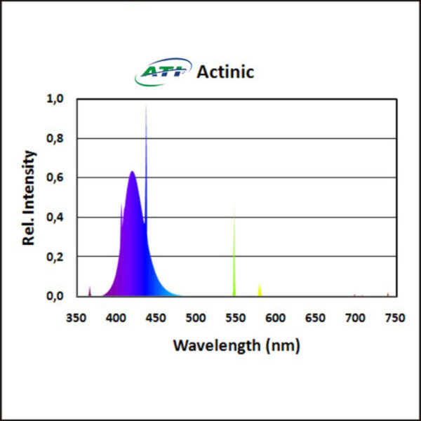 ATI 80W True Actinic 03