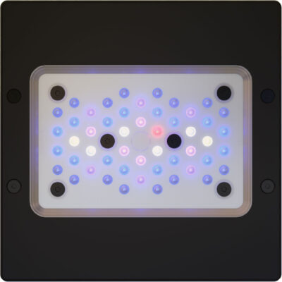 EcoTech Marine Radion G6 XR15 Blue LED Light - XR15G6BLUE-US