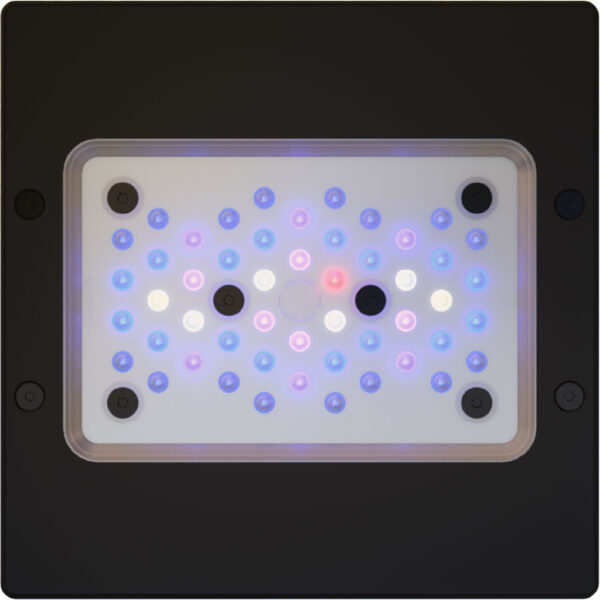 EcoTech Marine Radion G6 XR15 Blue LED Light - XR15G6BLUE-US