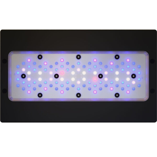 EcoTech Marine Radion G6 XR30 Blue LED Light - XR30G6BLUE-US