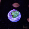 Green Dots Mushroom A04 1 TRSC 08192025 SHROOM A04
