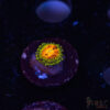 Rainbow Incinerator Zoa B10 1 TRSC 09152025 ZOA B10