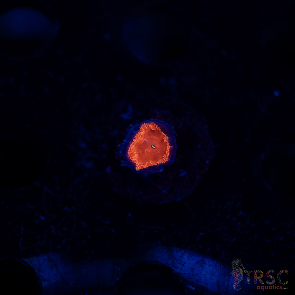 TRSC Iron Man Blasto B03 3 TRSC Iron Man Blasto B03