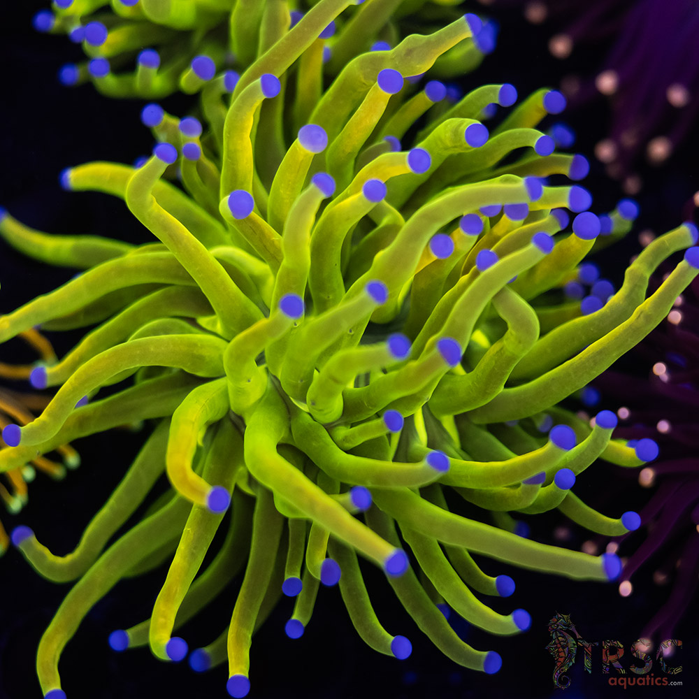 Holy Grail E01 3 Holy Grail E01