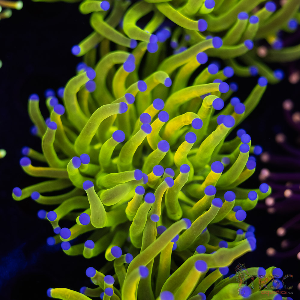 Holy Grail E02 3 Holy Grail E02