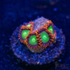 TRSC 11012025 ZOA Q04