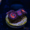 TRSC 11012025 ZOA R09