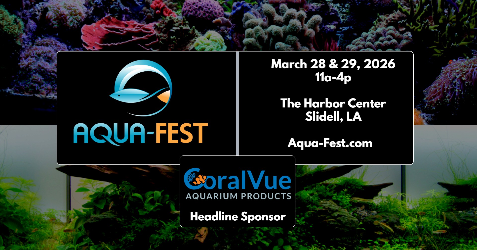 516811083_1085536120335093_1172961187108283362_n