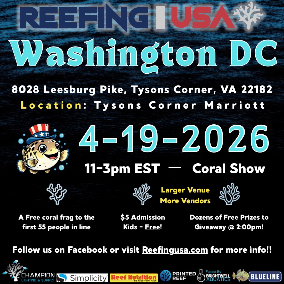 611163559_1458418586294013_185858594369865754_n