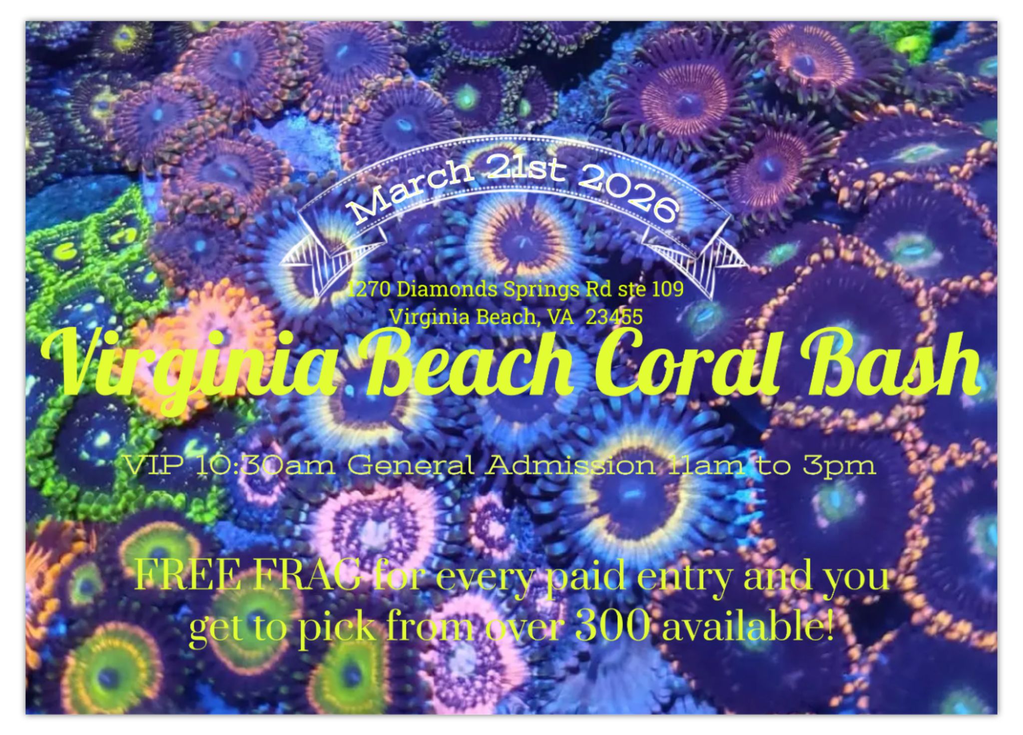 618091280_122110009533174100_7542294274831800021_n