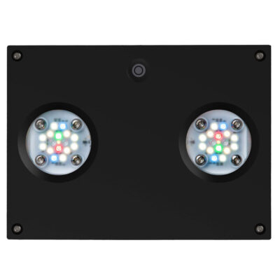 AI Hydra 32 HD Freshwater LED Module - Black Body