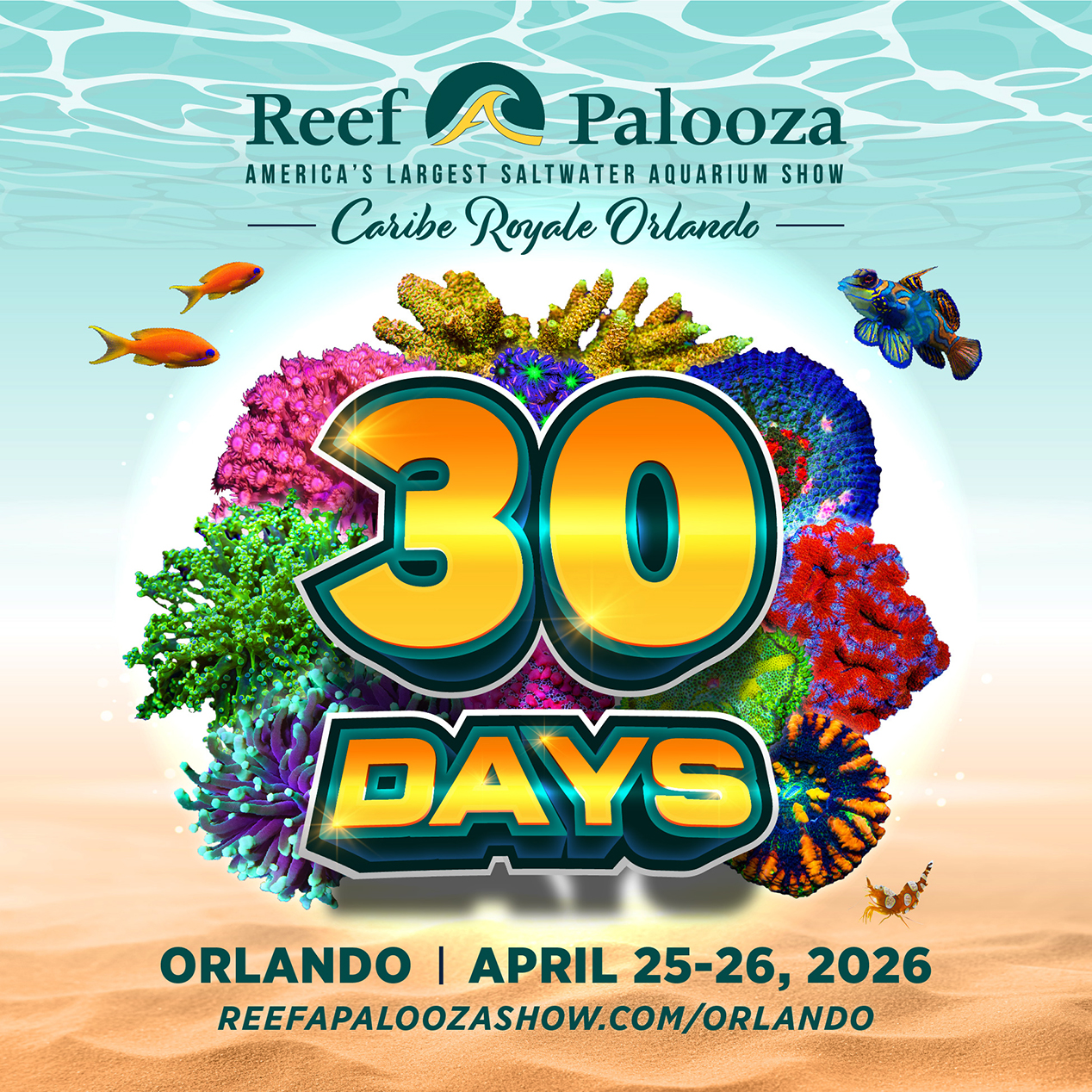 658910040_1380767824095181_8072285739963698546_n