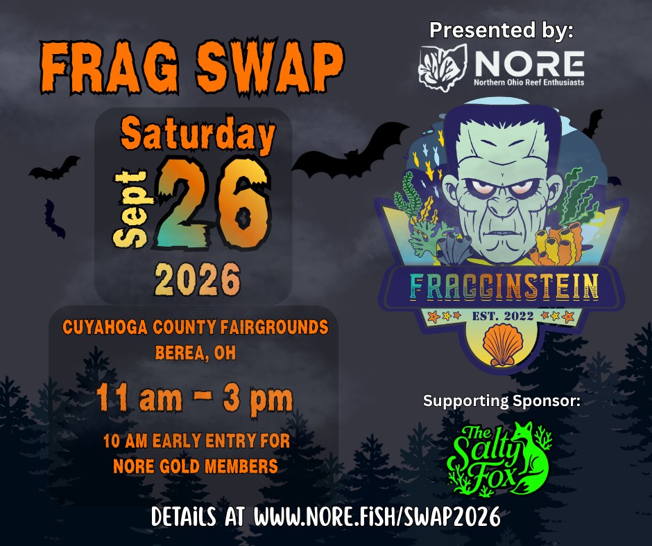 659192909_908532128679176_8966198468388802685_n