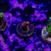 TR 050626 SPS R1 E06