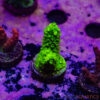 TR 050626 SPS R2 E09