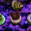 TR 050626 SPS R4 J03